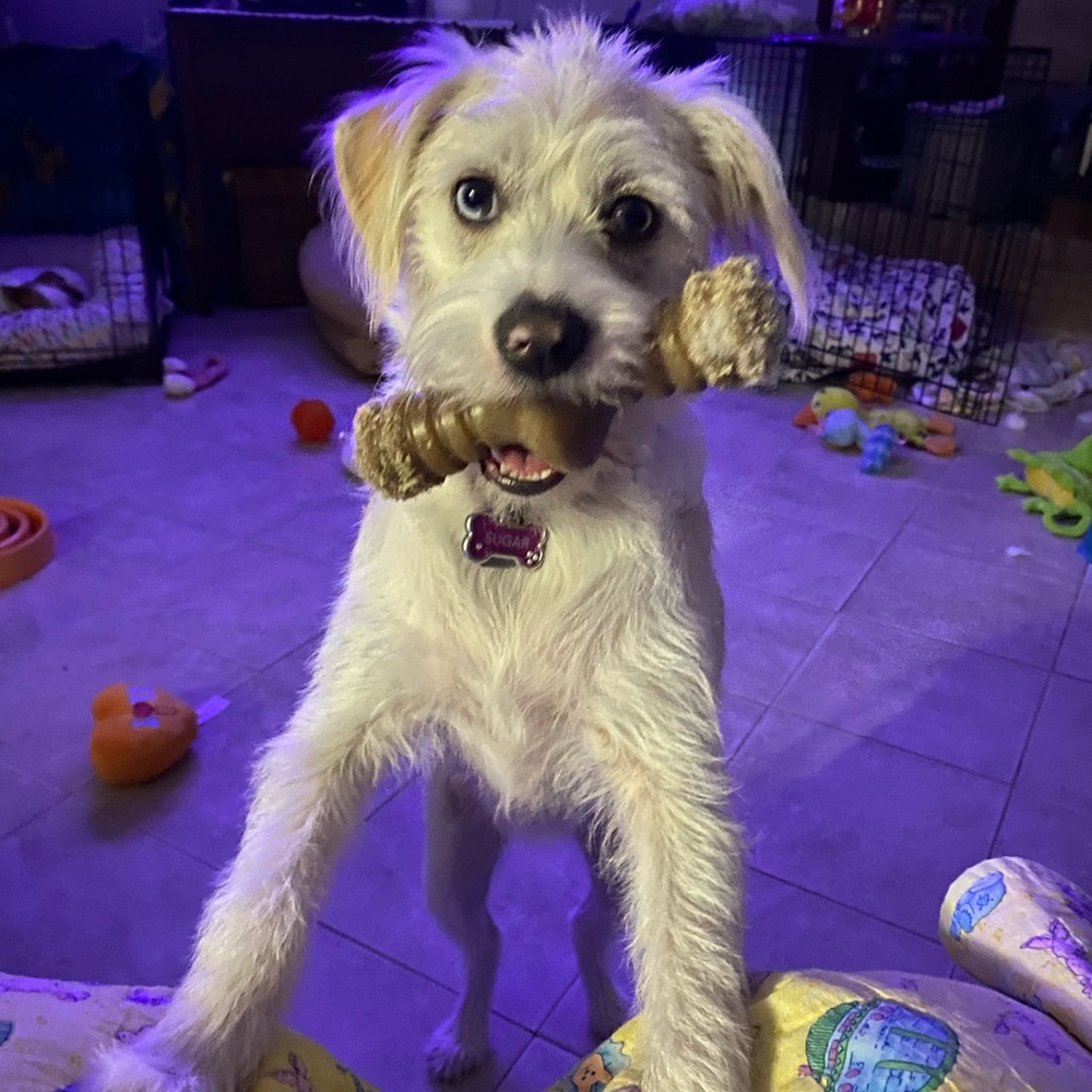 Enjoy the Time of your Life